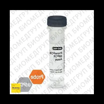 Набор KRAS G13D мутация PrimePCR ddPCR, 200 реакций, BioRad, 1863116