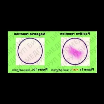 Набор для биохимической идентификации Listeria monocytogenes, O.B.I.S., 60 тестов/уп, Thermo FS, ID0600M