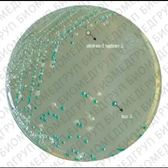 Агар HiCrome для обнаружения и подсчета E. coli 100 г ФСЗ 2009/03705