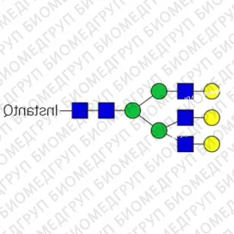 Стандарт Nгликанов AdvanceBio InstantQ G3/A3G3 ранее ProZyme. Nгликан трисиалилированный, галактозилированный триантенный комплекс, меченный InstantQ, для использования в качестве качественного стандарта с системой анализа гликанов GlyQ. Альтернати