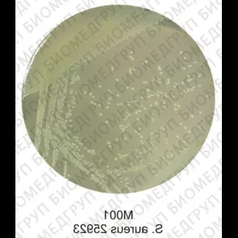 Агар питательный, 100г ФСЗ 2009/03707 в соотв. с ГОСТ Р 528142007