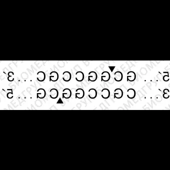 Эндонуклеаза рестрикции NotI, 10 000 ед/мл, New England Biolabs, R0189 S, 500 единиц