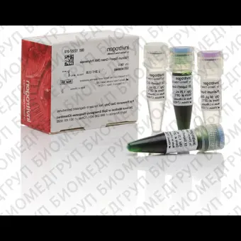 ДНКполимераза Platinum SuperFi Green DNA Polymerase, Thermo FS, 12357250, 5х500 единиц