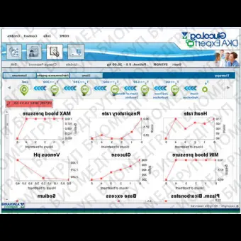 Клиническое программное обеспечение GlucoLog DKA Expert