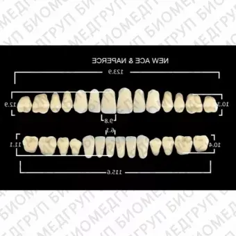 Гарнитуры пластмассовых зубов S2 M30, цвет D2, в боксе, 20 гарнитур