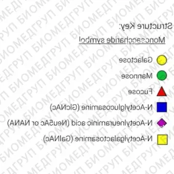 Nгликан AdvanceBio InstantQ Man9/M9 олигоманноза 9 ранее ProZyme. Nгликан, помеченный InstantQ, для использования в качестве качественного стандарта с системой анализа гликанов GlyQ