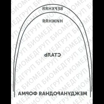 Дуги ортодонтические международная форма Нержавеющая сталь для нижней челюсти SS L .021x.025/.53x.64