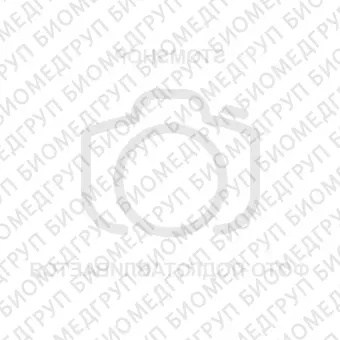 Charger зарядное устройство для Raypex 6