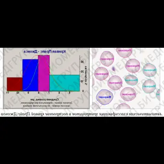 ПО для анализа крови, лейкоцитарная формула, эритроцитометрия, подсчет тромбоцитов, АргусBlood, АргусСофт, АргусBlood
