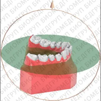 Ортодонтическое программное обеспечение Maestro 3D ortho