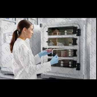 Лабораторный инкубатор с CO2 CellXpert C170