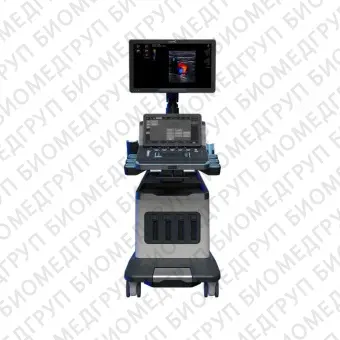 Ультразвуковой сканер на платформе AIXPLORER MACH 30