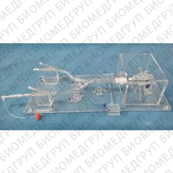 Медицинский симулятор для сосудистой хирургии LAAC01
