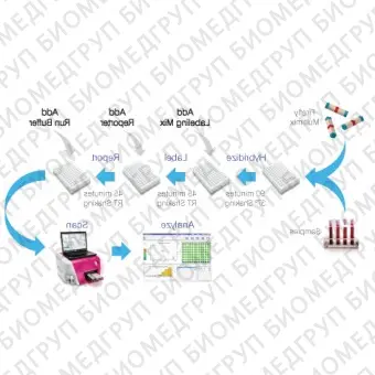 Панель для профилирования миРНК, Multiplex miRNA Assay Immunology Panel  Circulating, Abcam, ab204064, 96 тестов