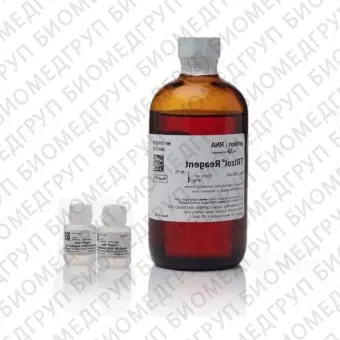 Набор TRIzol Max Bacterial RNA Isolation Kit, Thermo FS, 16096040, 200 выделений