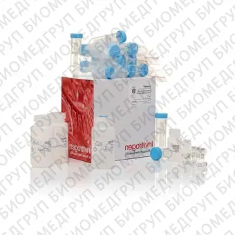 Набор JetQuick Blood and Cell Culture DNA Maxiprep Kit, Thermo FS, A30706, 50 выделений