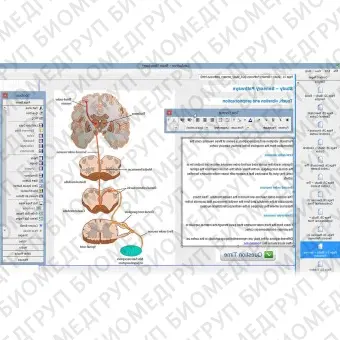 Программное обеспечение для обучения LabTutor