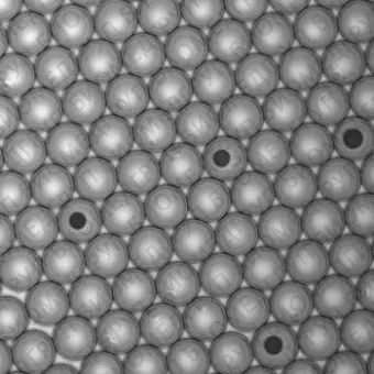 Система инкапсуляции клеток Encapsulator, Dolomite Microfluidics, 3200558