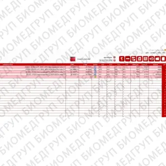 Программное обеспечение для PCR BioVisor RT