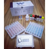 Экспресс-тест COVID-19 IGRA ELISA