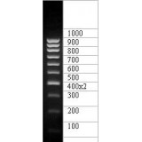 ДНК-маркер 1000/10C, 10 фрагментов от 100 до 1000 п.н. 400(2х); концентрат 0,5 мг/мл, Диаэм, 1906.0250, 250 мкг