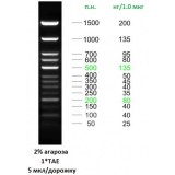 ДНК-маркер Step 50plus, 13 фрагментов от 50 до 1500 п.н., готовый к применению, 0,1 мг/мл, Диаэм, 3364, 50 мкг