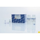 Набор  для выделения продуктов ПЦР из смеси QIAquick PCR Purification Kit, Qiagen, 28106, 250 выделений