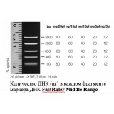 Маркер длин ДНК FastRuler Middle Range, 5 фрагментов от 50 до 1500 п.н., готовый к применению, Thermo FS, SM1113, 2х500 мкл