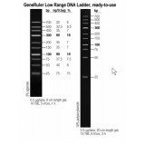 Маркер длин ДНК GeneRuler Low Range, 10 фрагментов от 25 до 700 п.н., готовый к применению, 0,1 мкг/мкл, Thermo FS, SM1193, 50 мкг