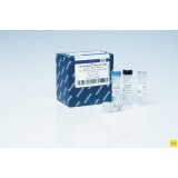 Набор QuantiTect Virus +ROX Vial Kit, Qiagen, 211035, 1000 реакций