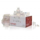 Набор PureLink FFPE RNA Isolation Kit, Thermo FS, K156002, 50 выделений