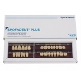 Spofadent Plus (В4) 53-53-1/74