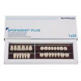 Spofadent Plus (А1) 62-0/11-1/62