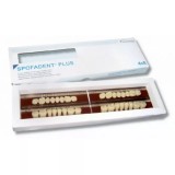 Spofadent Plus (С4) 1/48-0/6-1/72