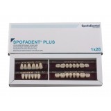 Spofadent Plus (А2) 1/44-0/0-1/65