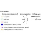 Стандарт N-гликанов AdvanceBio InstantAB Man3 / M3 (ранее ProZyme)